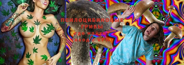 мескалин Бородино