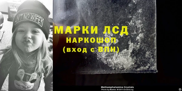 шишки Верхний Тагил