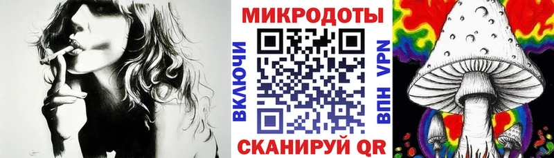 купить закладку  Верхний Тагил  Псилоцибиновые грибы Cubensis 